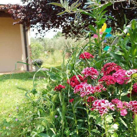 Bnb A La Maison Reggello Exterior photo